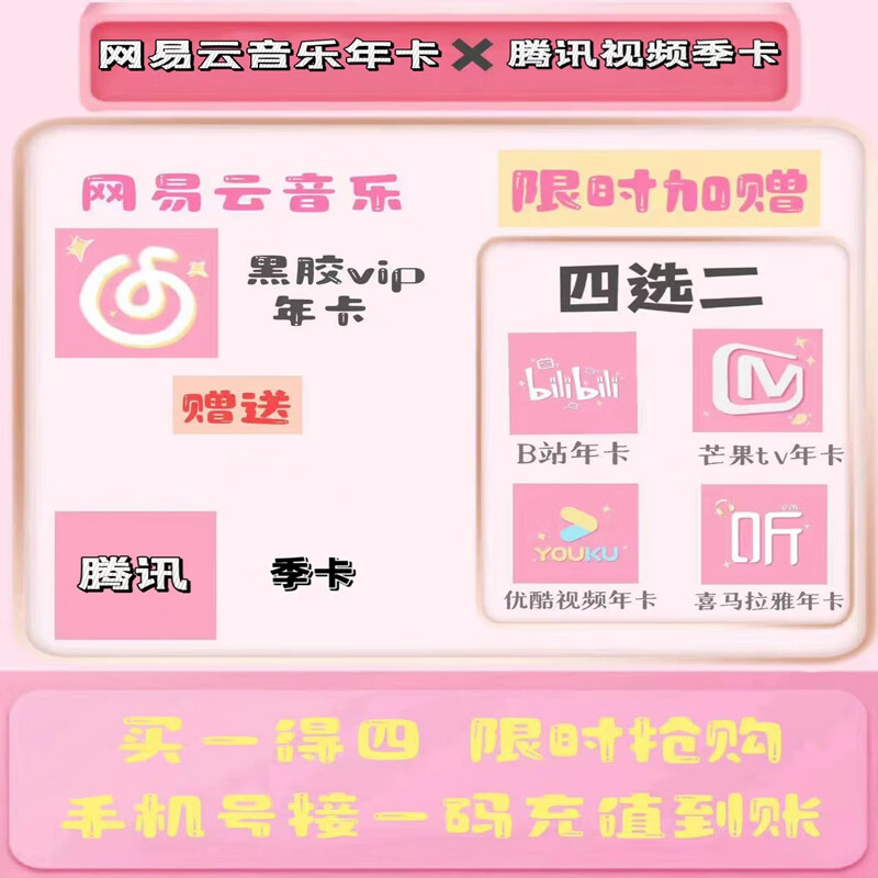 bilibili 哔哩哔哩 联合会员 168元