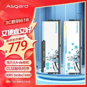 Asgard 阿斯加特 32GB(16GBx2)套 DDR5 6400 台式机内存 RGB灯条-吹雪