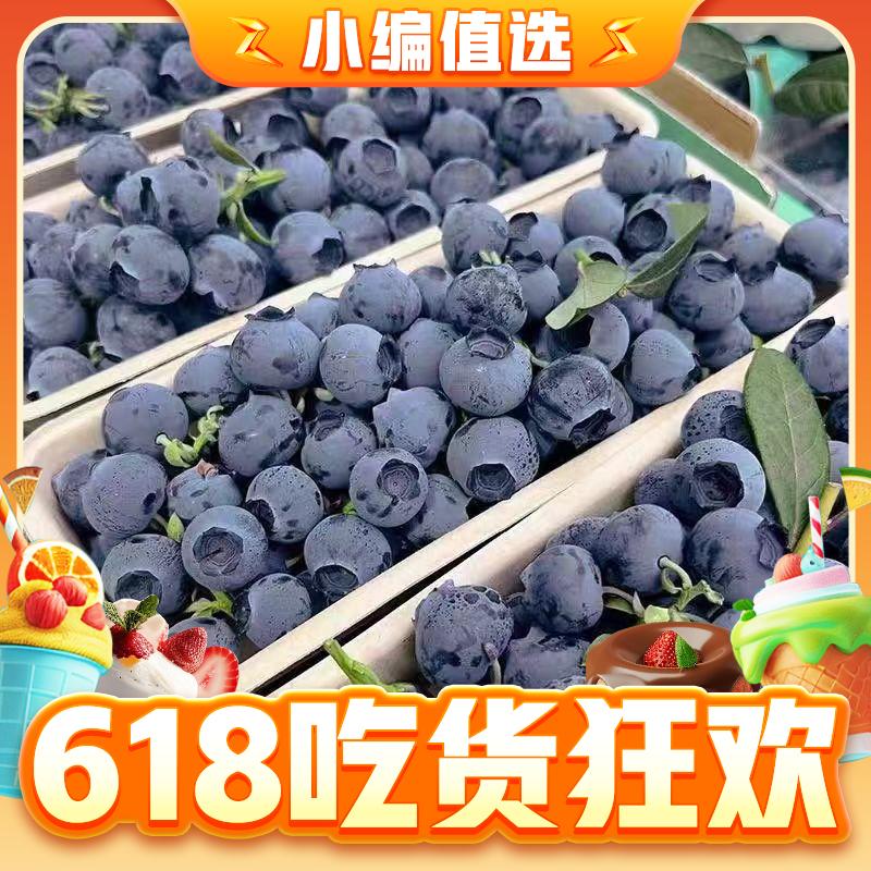 鑫汇利 618福利！枝串蓝莓 400g礼盒装 /15-18mm+ 31.5元（需买2件，需用券）