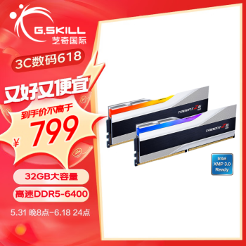 G.SKILL 芝奇 幻锋戟 DDR5 6400MHz RGB 台式机内存 灯条 科技银 32GB 16GBx2 F5-6400J3239G16GX2-TZ5RS