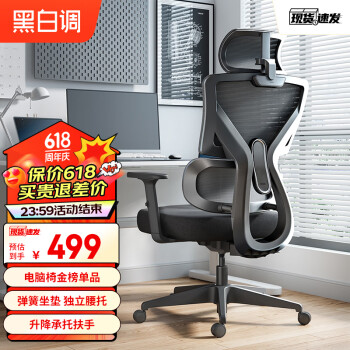 HBADA 黑白调 P5双背款 人体工学椅电脑椅子办公椅可躺学习椅家用电竞椅标准