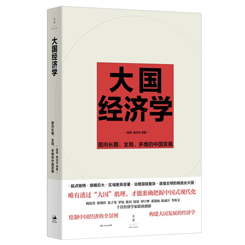 大国经济学：面向长期、全局、多维的中国发展（“中国好书”月榜图书， 39.5元