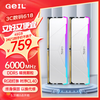 GeIL 金邦 48G（24G*2） DDR5-6000  台式机电脑内存条 巨蟹RGB灯条系列白色