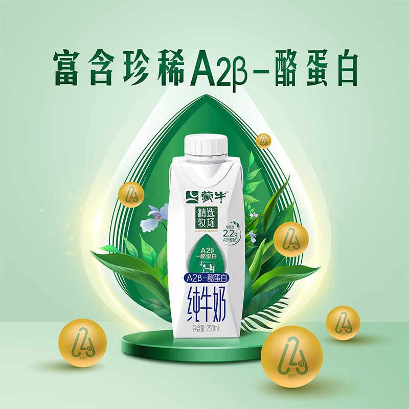 MENGNIU 蒙牛 精选牧场A2β-酪蛋白纯牛奶250ml×10盒3.6g乳蛋白 29.9元