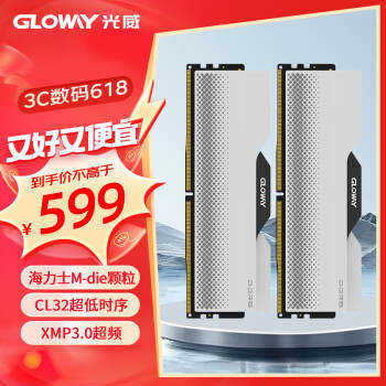 GLOWAY 光威 龙武系列 DDR5 6400MHz 台式机内存 马甲条 白色 32GB 16GBx2 海力士M-die颗粒