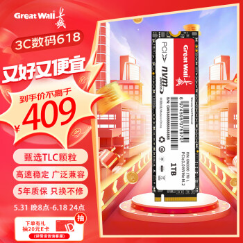 Great Wall 长城 1TB SSD固态硬盘 M.2接口PCIe 3.0x4 GW3300系列