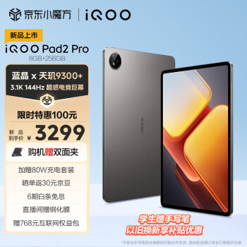 iQOO Pad2 Pro 13英寸平板电脑 8GB+256GB WLAN版
