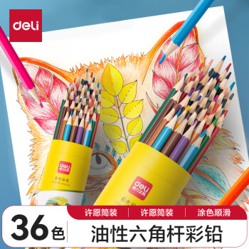 deli 得力 DL-7070-36 油性彩色铅笔 36色