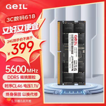 GeIL 金邦 24G DDR5-5600  笔记本内存条 千禧系列