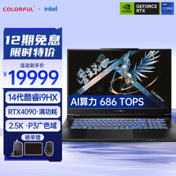 COLORFUL 七彩虹 将星X17 Pro Max 十四代酷睿版 17.3英寸 游戏本 黑色（酷睿i9-14900HX、RTX 4090 16G、32GB、1TB SSD、2.5K、IPS、240Hz）