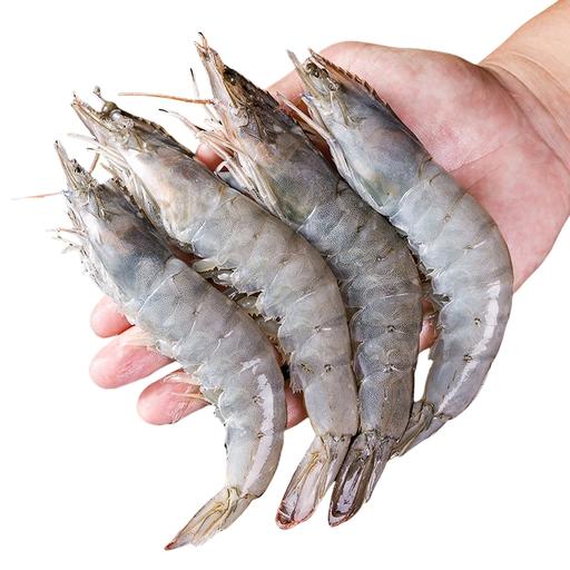 海头海州湾 厄瓜多尔白虾 3.3斤盒装 券后61.72元