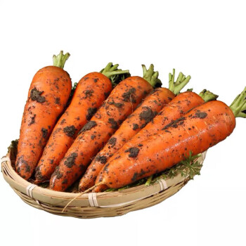 京地达 山东新鲜胡萝卜当季脆甜 净重4.5斤 新鲜蔬菜带泥发货 产地直发