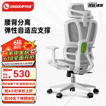 15日20点：ERGOUP 有谱 V1 人体工学椅电脑椅