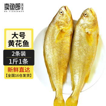 移动端：卖鱼郎先生 黄花鱼 1kg/2条 国产福建大黄鱼 生鲜鱼类