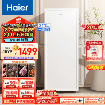 Haier 海尔 211升家用立式冰柜母乳冷冻柜抽屉式冷柜囤货画框小冰箱小冰柜家用小型冰箱BD-211GHW9