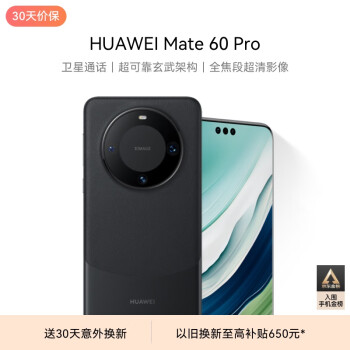 HUAWEI 华为 Mate 60 Pro 手机 12GB+512GB 雅丹黑