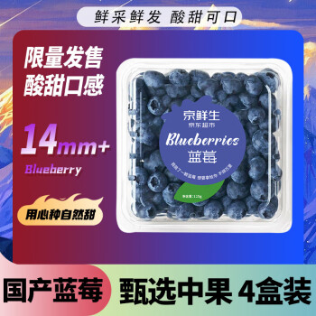 17日20点：Mr.Seafood 京鲜生 国产蓝莓 4盒装 约125g/盒 14mm+