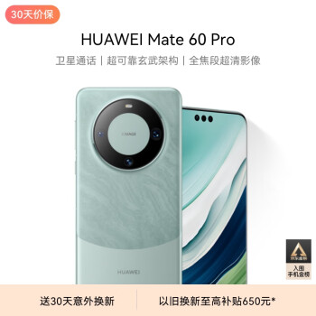 HUAWEI 华为 Mate 60 Pro 手机 12GB+1TB 雅川青
