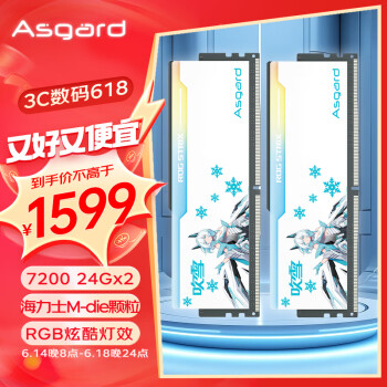 Asgard 阿斯加特 48GB(24GBx2)套装 DDR5 7200 台式机内存 RGB灯条-吹雪