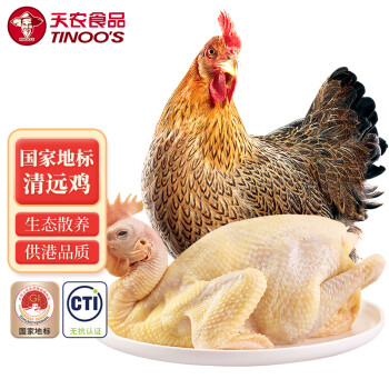 天农纯种清远鸡整鸡肉900g供港母鸡麻鸡土鸡生鲜冷冻散养走地鸡