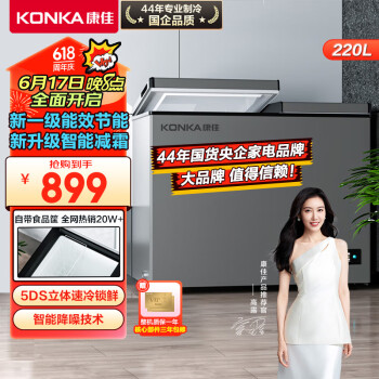 KONKA 康佳 220升 大容量家用商用冰柜 双箱双温冷柜 顶开门 一级能效 冷藏冷冻卧 BCD-220DZP