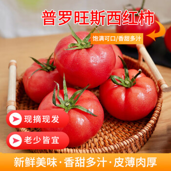 果杰山东普罗旺斯西红柿4.5斤 自然熟沙瓤口感番茄新鲜蔬菜 源头直发
