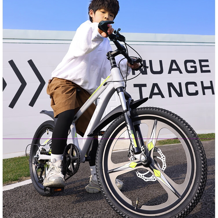 京东PLUS：PHOENIX 凤凰 儿童自行车 22寸 478元（双重优惠）