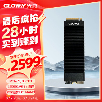 GLOWAY 光威 2TB SSD固态硬盘 M.2接口(NVMe协议) PCIe 5.0 独立缓存 神策PRO系列