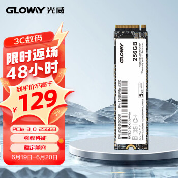 GLOWAY 光威 256GB SSD固态硬盘 M.2接口(NVMe协议) PCIe 3.0x4 Basic+系列