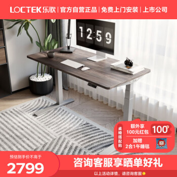 Loctek 乐歌 电动升降桌电脑桌站立办公学习桌写字桌E5-HD/1.4m灰胡桃木色套装