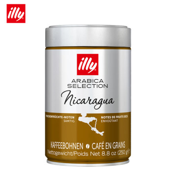 illy 意利 原装进口阿拉比加精选咖啡豆（尼加拉瓜）250g