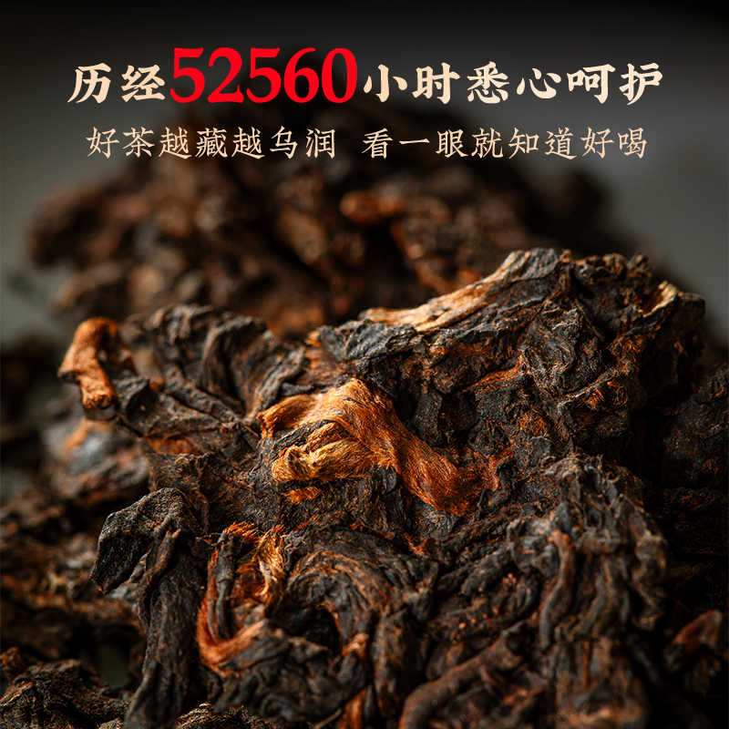 【新品】澜沧古茶2024年古木香6年陈云南普洱茶老熟茶熟普品鉴装