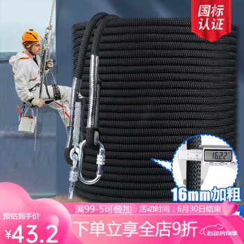 AMSOIL 安索 登山绳子户外耐磨高空作业绳蜘蛛人外墙安装吊绳 16mm黑色 60米