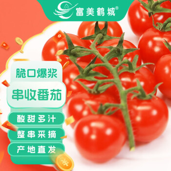 富美鹤城 串收樱桃番茄 小西红柿净重198g*4盒源头直发