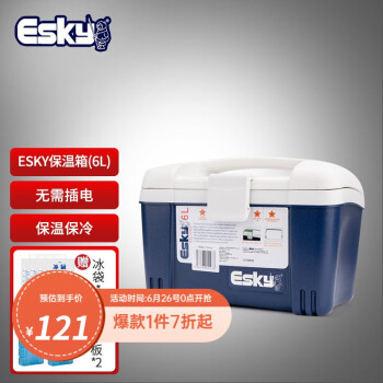Esky 爱斯基 保温箱商用家用车用车载冷藏冰块保存箱户外冰桶生鲜保鲜外卖箱 6L（PU材质）送：2冰板+4冰袋