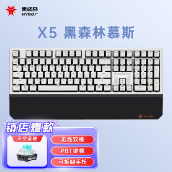 Hyeku 黑峡谷 X5 108键 2.4G双模机械键盘 黑森林慕斯 凯华BOX天空蓝轴 单光