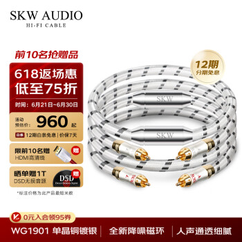 SKW 旗舰版 单晶铜镀银 音频线 二对二莲花红白模拟音频线 CD/DSP功放信号连接线 WG1901-1米
