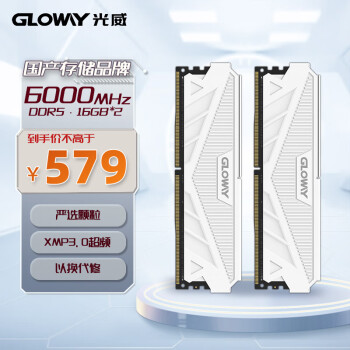 GLOWAY 光威 32GB(16GBx2)套装 DDR5 6000 台式机内存条 天策系列 助力AI