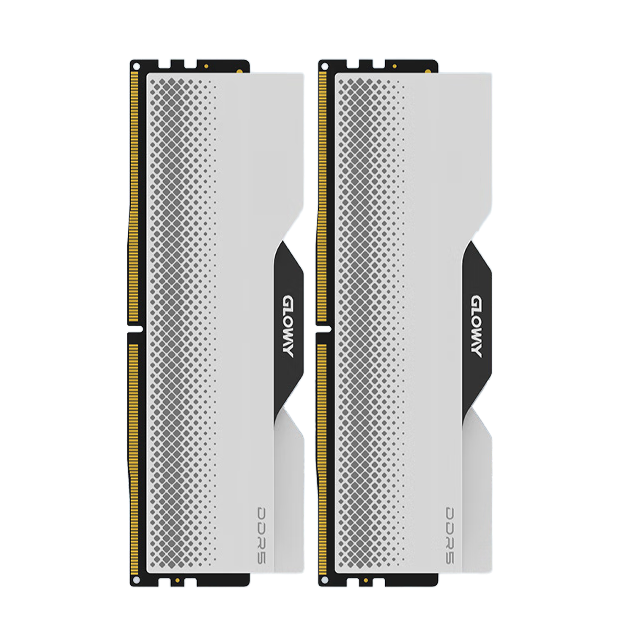 GLOWAY 光威 龙武系列 DDR5 6400MHz 台式机内存 马甲条 白色 32GB 16GBx2 海力士M-die颗粒 655.71元