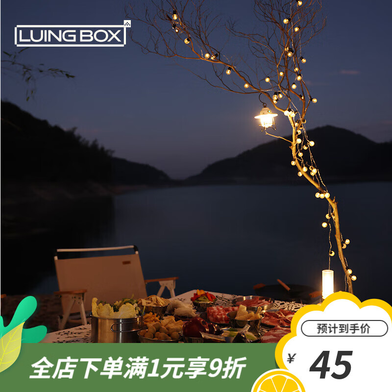 LUING BOX 露营盒子 串灯户外灯球帐篷装饰灯氛围灯防水电池USB双供电精致灯 乳白色圆灯 ￥19.9