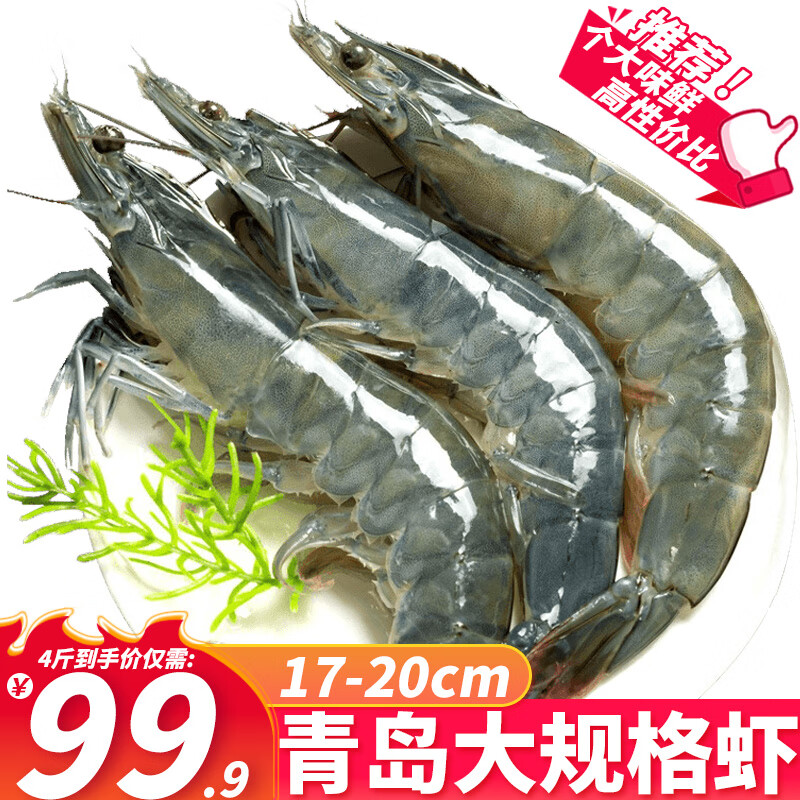 XYXT 虾有虾途 新鲜国产青岛大白虾 17-20厘米 4斤 超大号虾 券后78.93元