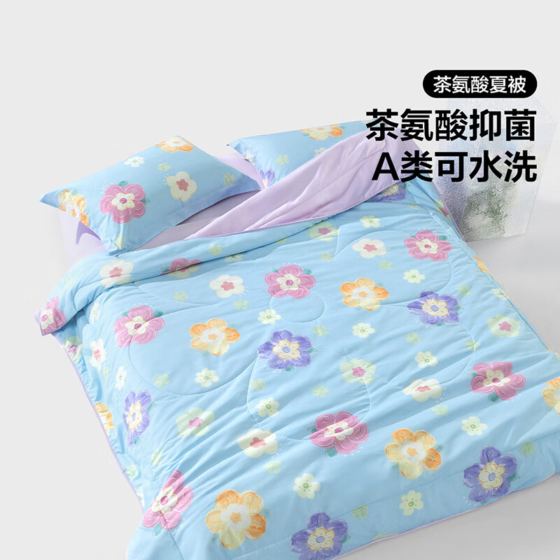 BLISS 百丽丝 A类可水洗茶氨酸抗菌夏凉被 150cm×200cm 券后37.4元