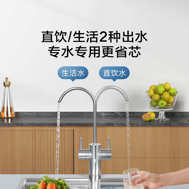 京东京造 零陈水净水器 家用净水机 直饮机 白犀800GPro 过滤净水器厨下式 6.5年RO反渗透滤芯 双出水龙头 1069元