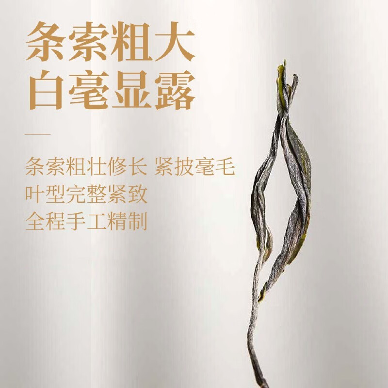 滇南记冰岛早春普洱生茶云南生普洱茶古树普尔春茶新茶散茶叶2024年 买一次喝半年1000克装 159.98元（需买2件，需用券）