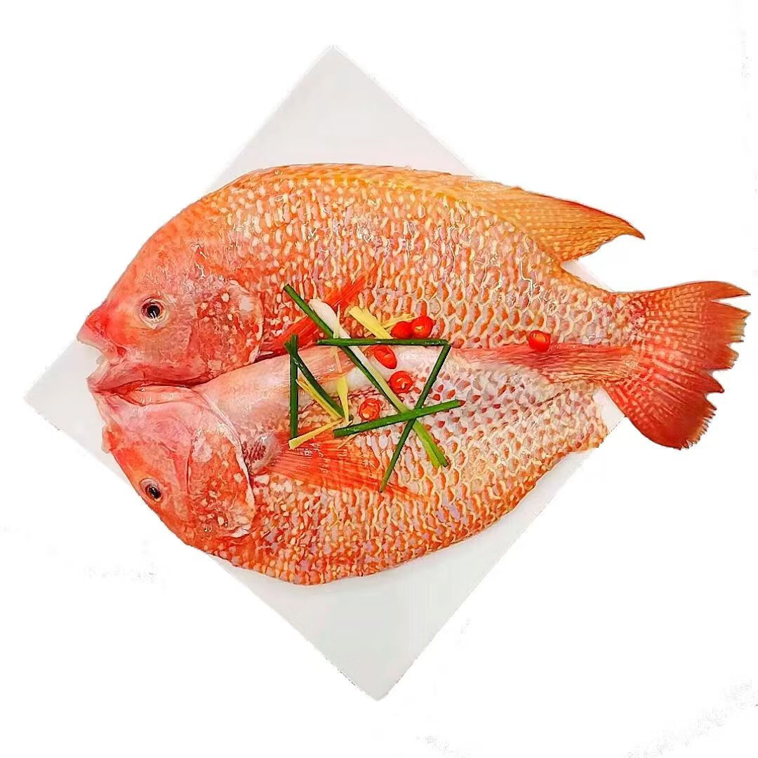 新鲜红星斑鱼 400-500g/3只（活动即将结束） 21元（需买3件，需用券）