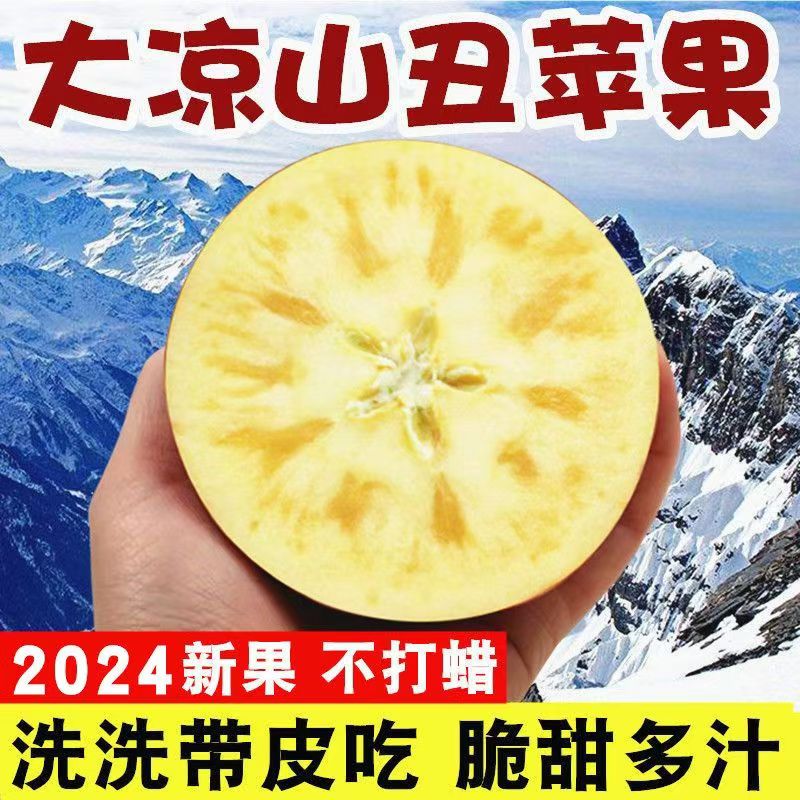 淘轩园 顺丰 四川大凉山 特大果 丑苹果冰糖心 4.5斤装 单果80-90mm 25.9元（需买2件，需用券）