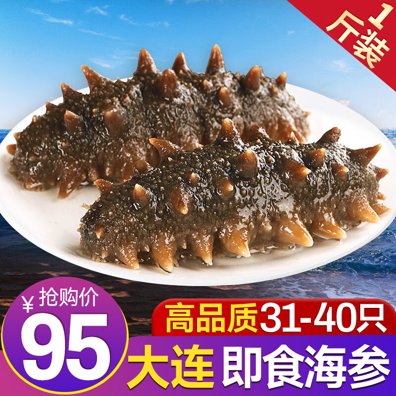 三只海豚 即食海参单个装500g 大连海参辽刺参 野生辽刺参开袋即食海参 专属优惠500g（31-40只/斤） ￥74