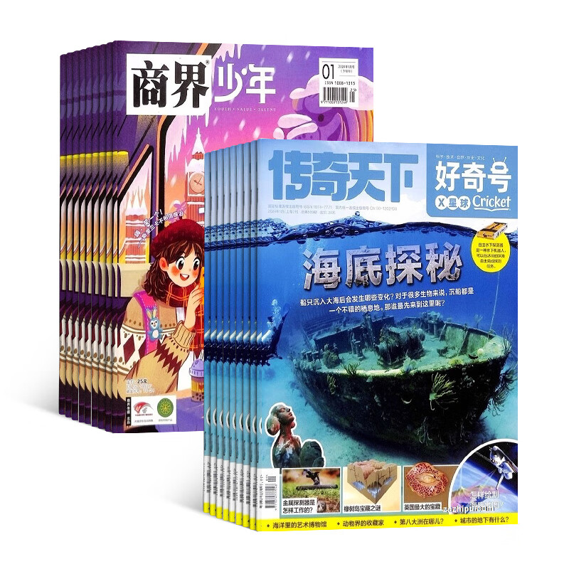 《好奇号+商界少年杂志》（2025年起1月订、全年订阅共48期） 388元