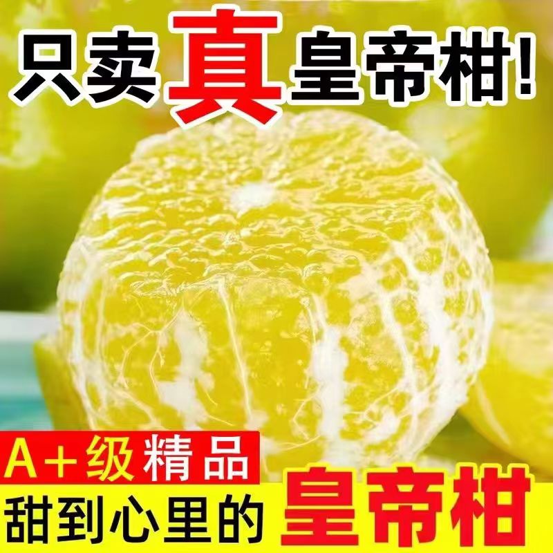 特大果 广西武鸣 皇帝柑 4.5斤装（约20个）单果60mm以上 19.99元（需买2件，需用券）