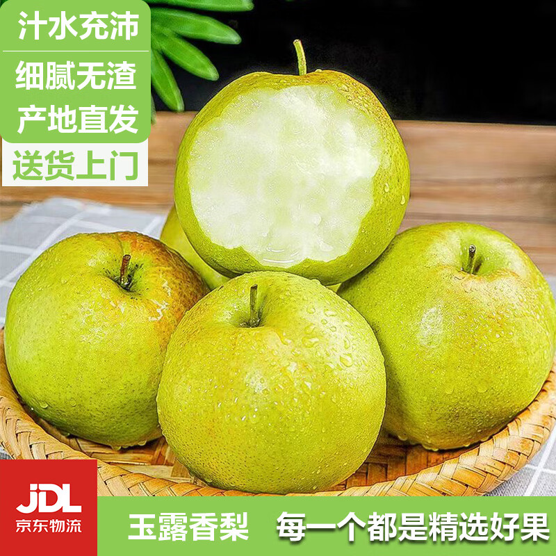 HUABEIQIANG山西玉露香梨新鮮水果產(chǎn)地直發(fā)彩箱水果禮盒JD送貨上門 5斤裝大果彩箱裝（凈果4.5斤) ￥22.9